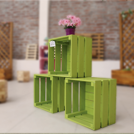 Conjunto de 3 cajas tipo estante